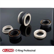 Grafitfyldt PTFE fjeder Energized Lip Seal