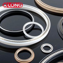 PTFE Radial Lip Seals